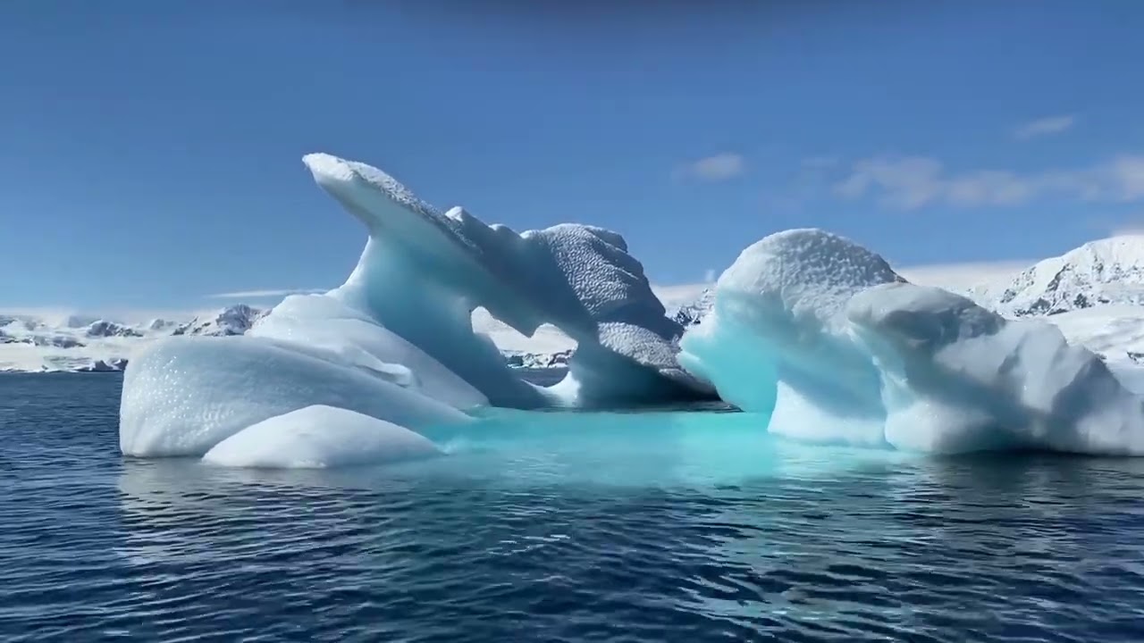 A Trip to the Artic! | Preschool Learning| Early Learners | Toddlers