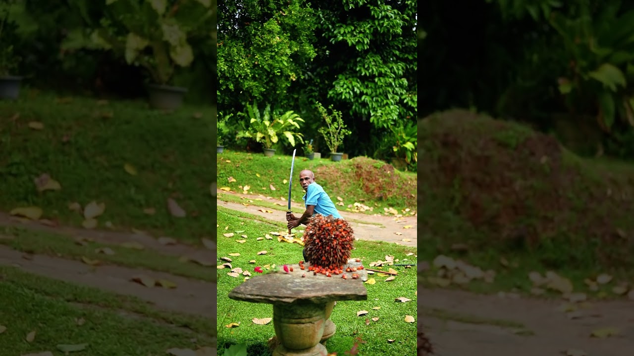 Funny Slow-Mo Moments 🤣