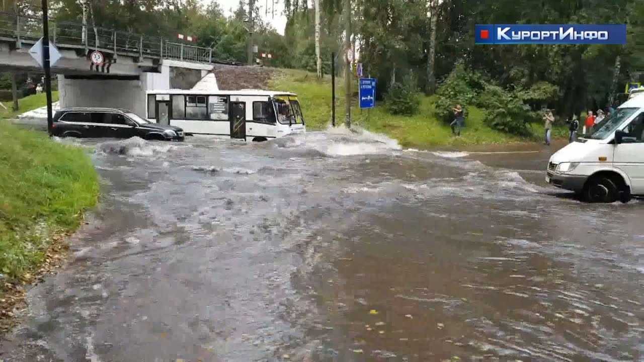 Большой лужи под железнодорожным мостом в Зеленогорске теперь не будет