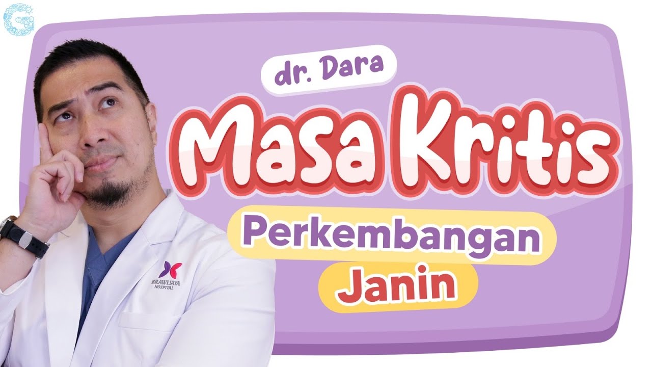 Perkembangan Janin Tiap Trimester, Ada Masa Kriitis!