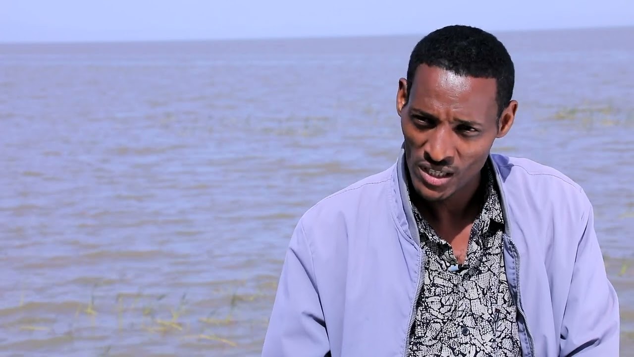 Qophii Qaroo Egeree Baatuu (Haroo Dambal)