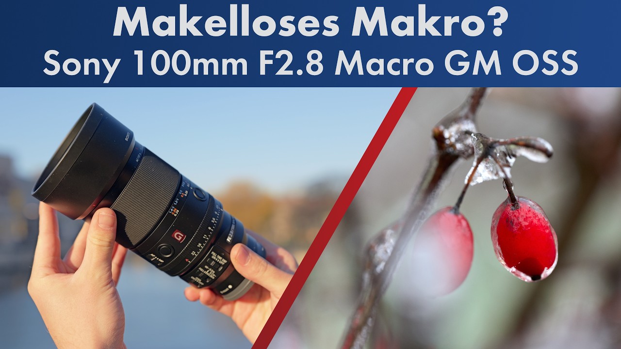 Sony FE 100mm F2.8 Makro GM OSS im Test [Deutsch]