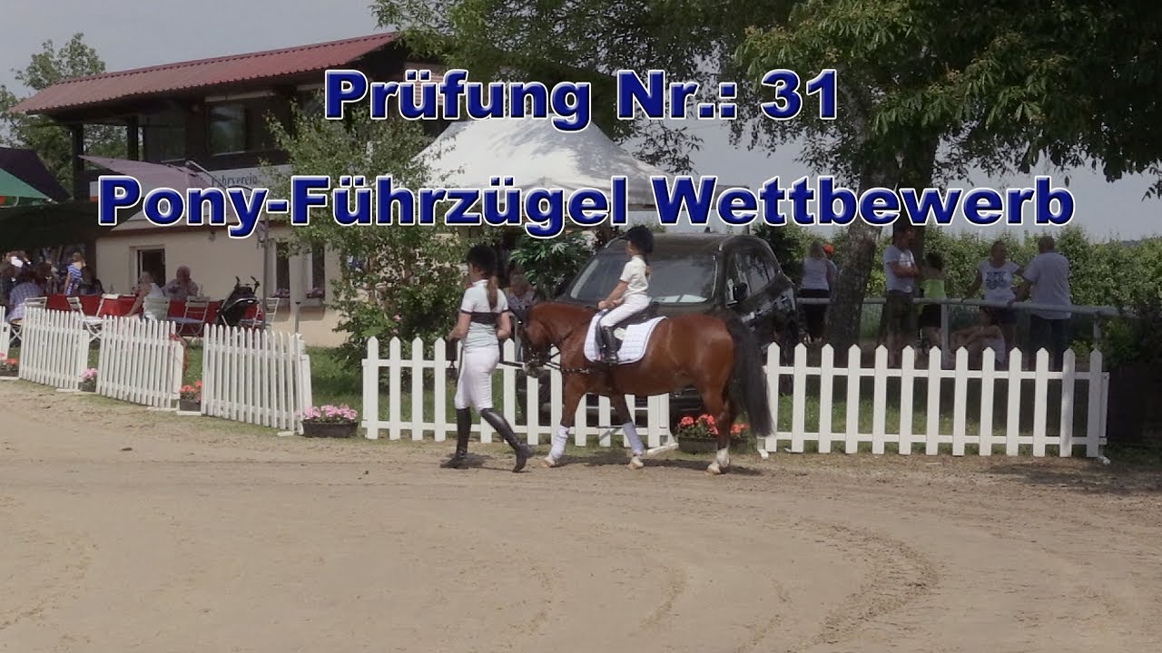 Führzügel Prüfung 2017