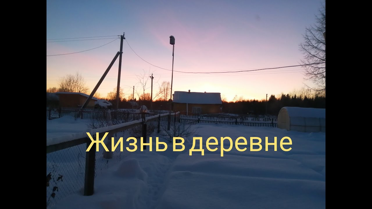 Осталась одна! Правильный Грибной суп! Я не права? Дела домашние! С Праздником Крещения! #грибнойсуп