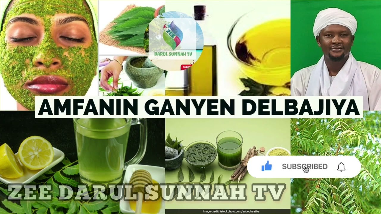 Amfanin Ganyen Delbajiya (Neem Tree 🌲16) Dr. Abdulwahab Abubakar G/Bauchi