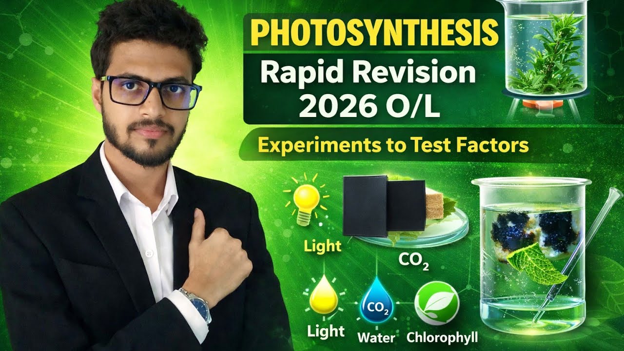 Photosynthesis Full Theory with Experiments | 2026 O/L Rapid Revision