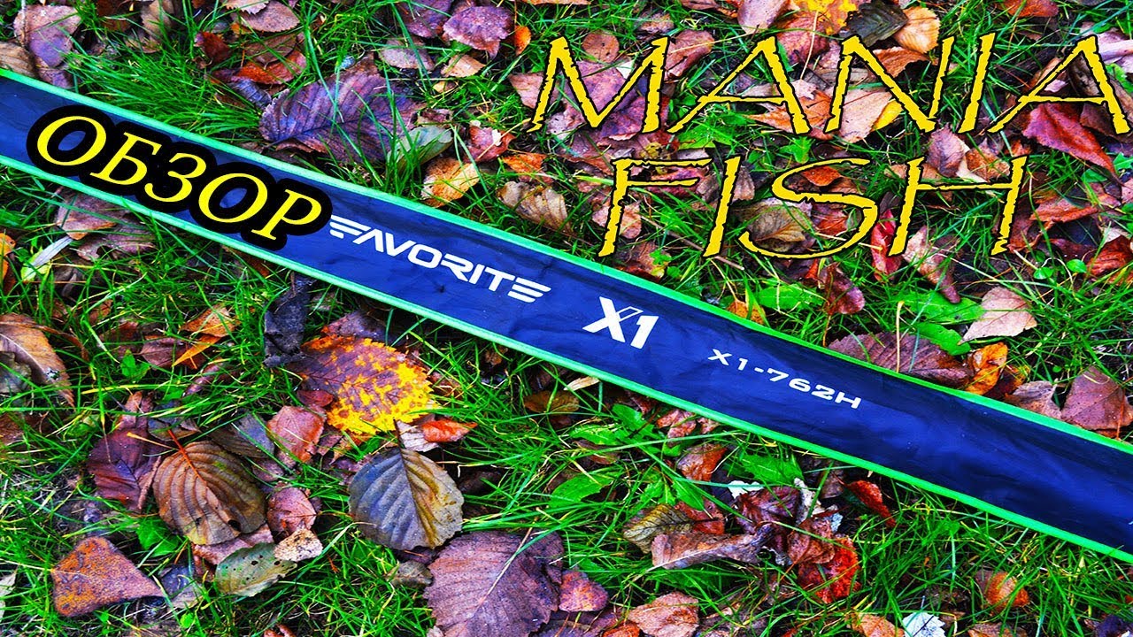 ОБЗОР Favorite X1 762H