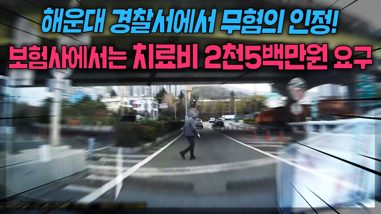 19974회. 차대사람 사고는 무조건 차량 잘못이라는 경찰도 무혐의 판단한 사고, 해운대 경찰서가 훌륭한 판단을 했습니다