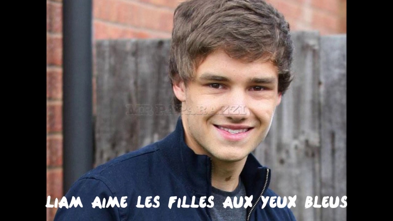 40 facts One direction (French)