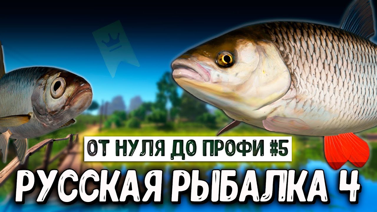 RF4 ПЕРВЫЕ ТРОФЕИ, ФАРМЫ, НОВЫЕ ЦЕЛИ И ПЛАНЫ #рр4