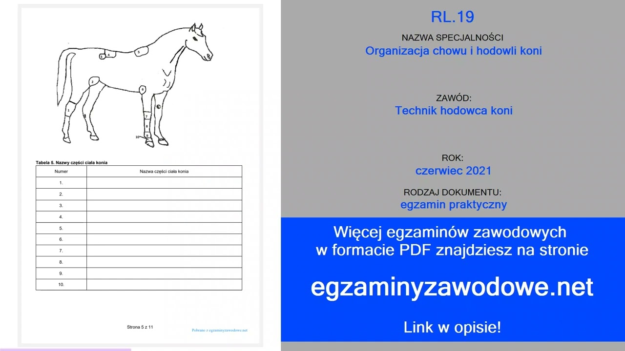 Egzamin zawodowy praktyczny RL.19, Organizacja chowu i hodowli koni, czerwiec 2021