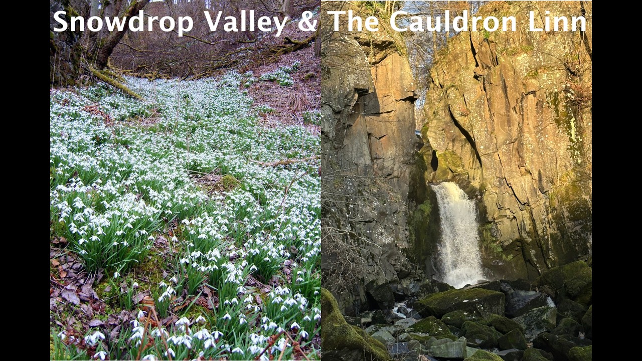 Snowdrop Valley and Cauldron Linn