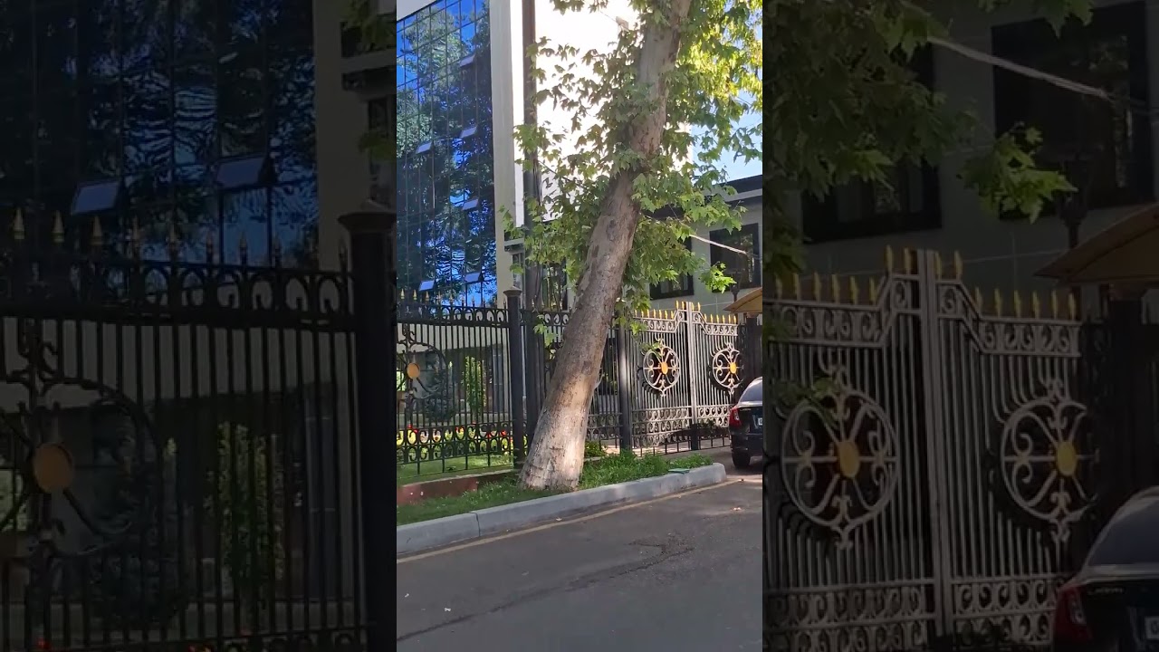 Рашид укамни ва уни суд ишлари бойича толик малумот..