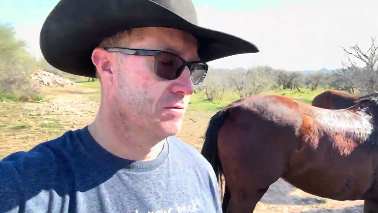 Day two with the pony express! With Wild Horses!