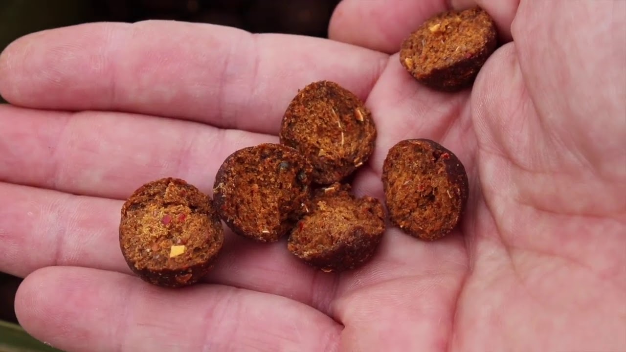 STARBAITS - 10 CONSEILS POUR ABORDER LA RIVIÈRE