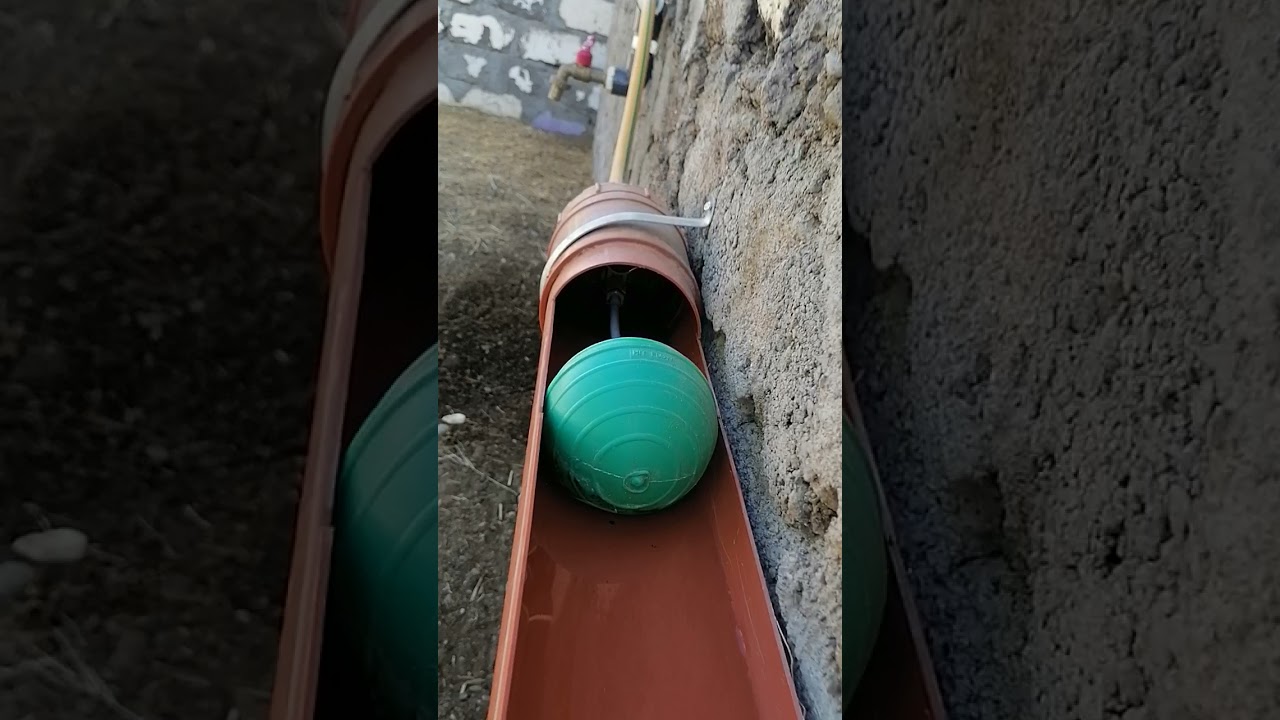 سقي الحيوانات بطريقة عملية