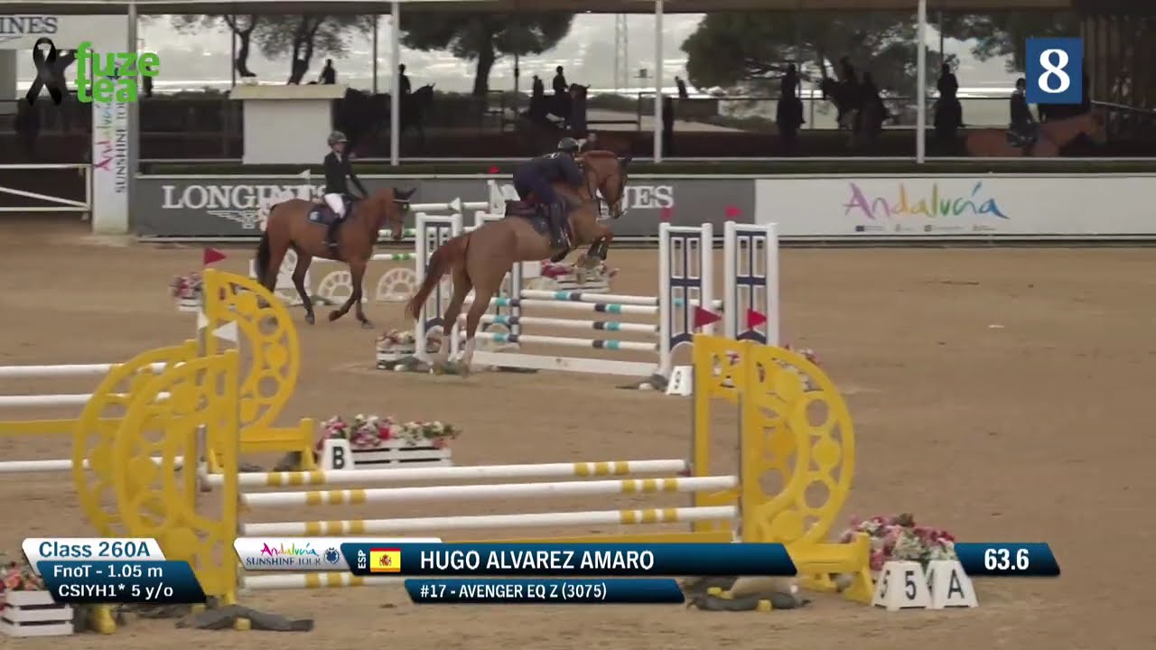 Hugo Alvarez Amaro - Avenger EQ Z - CSIYH* SunshineTour - 5Yo