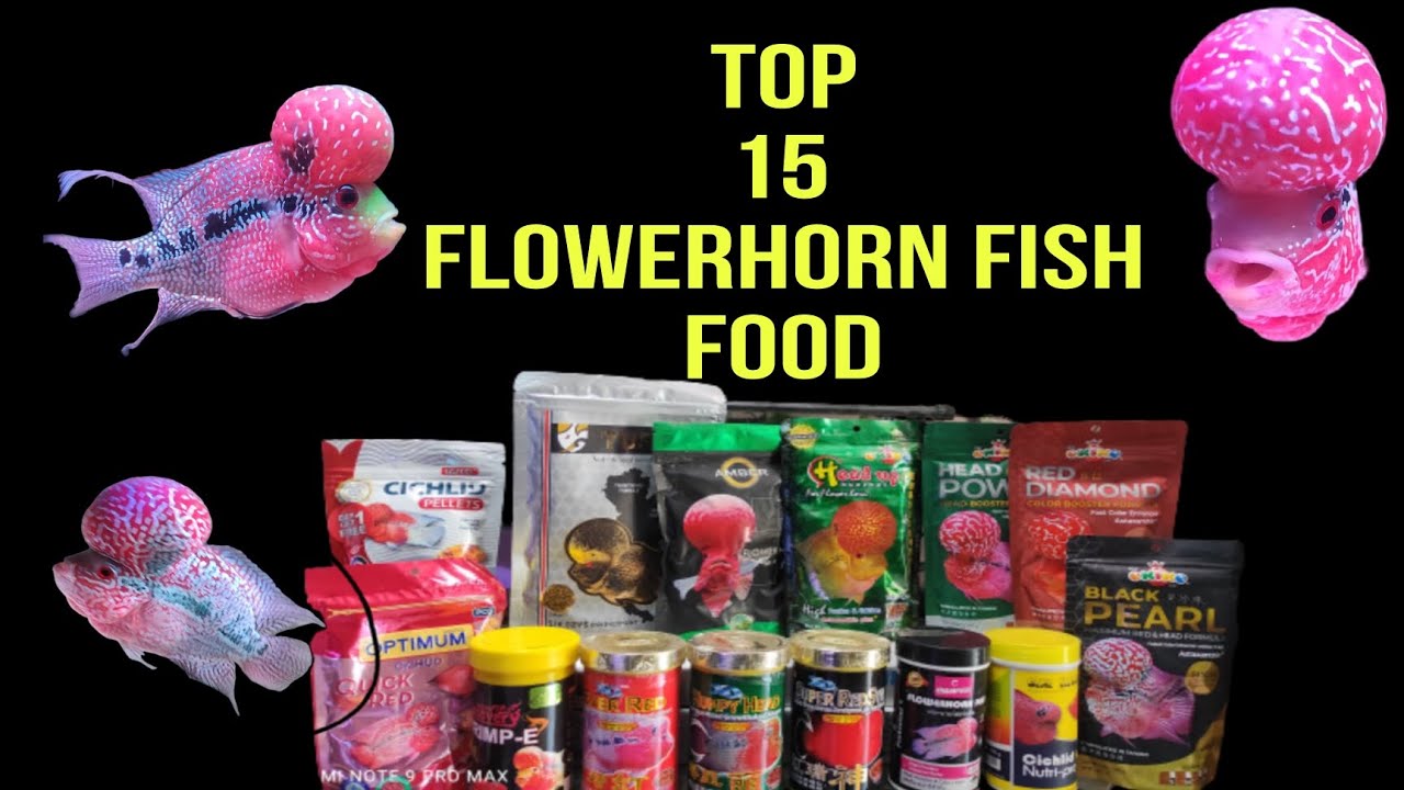Top 15 Flowerhorn fish food | Which is the best food for Flowerhorn fish in India? | 