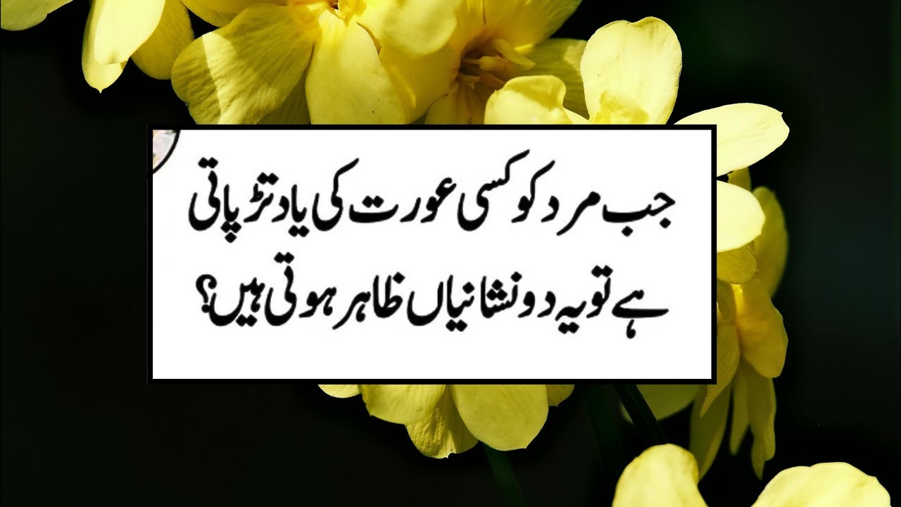 Best Hazrat Ali Quotes About Life | Heart Touching Urdu Quotes | Golden words | Aqwal e zareen