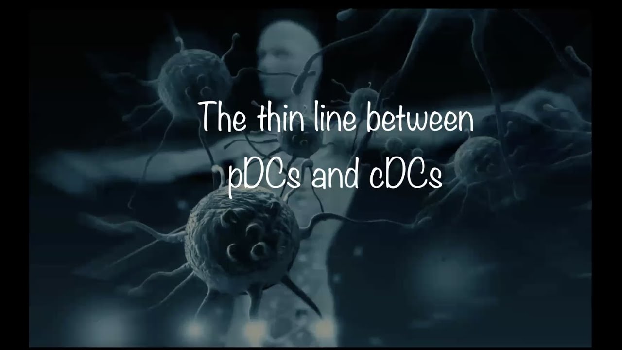 The thin line between plasmacytoid and conventional dendritic cells