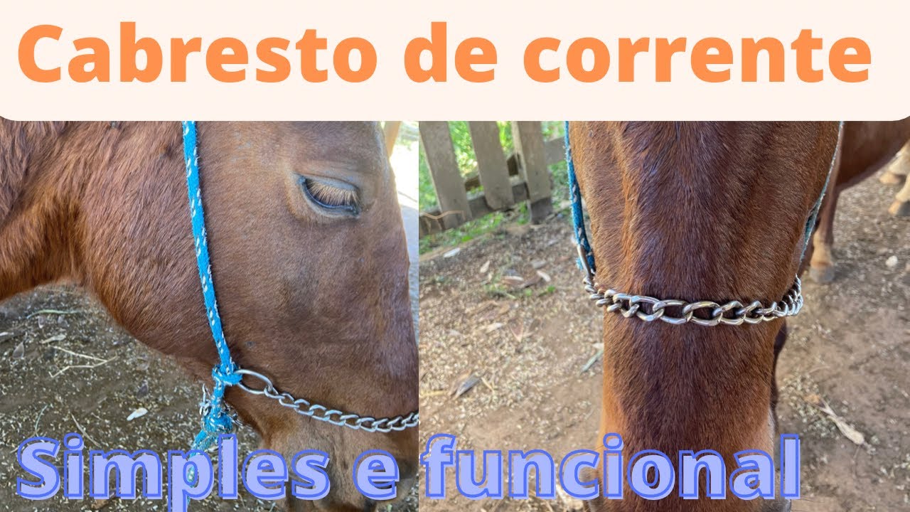 Como fazer cabresto de corrente