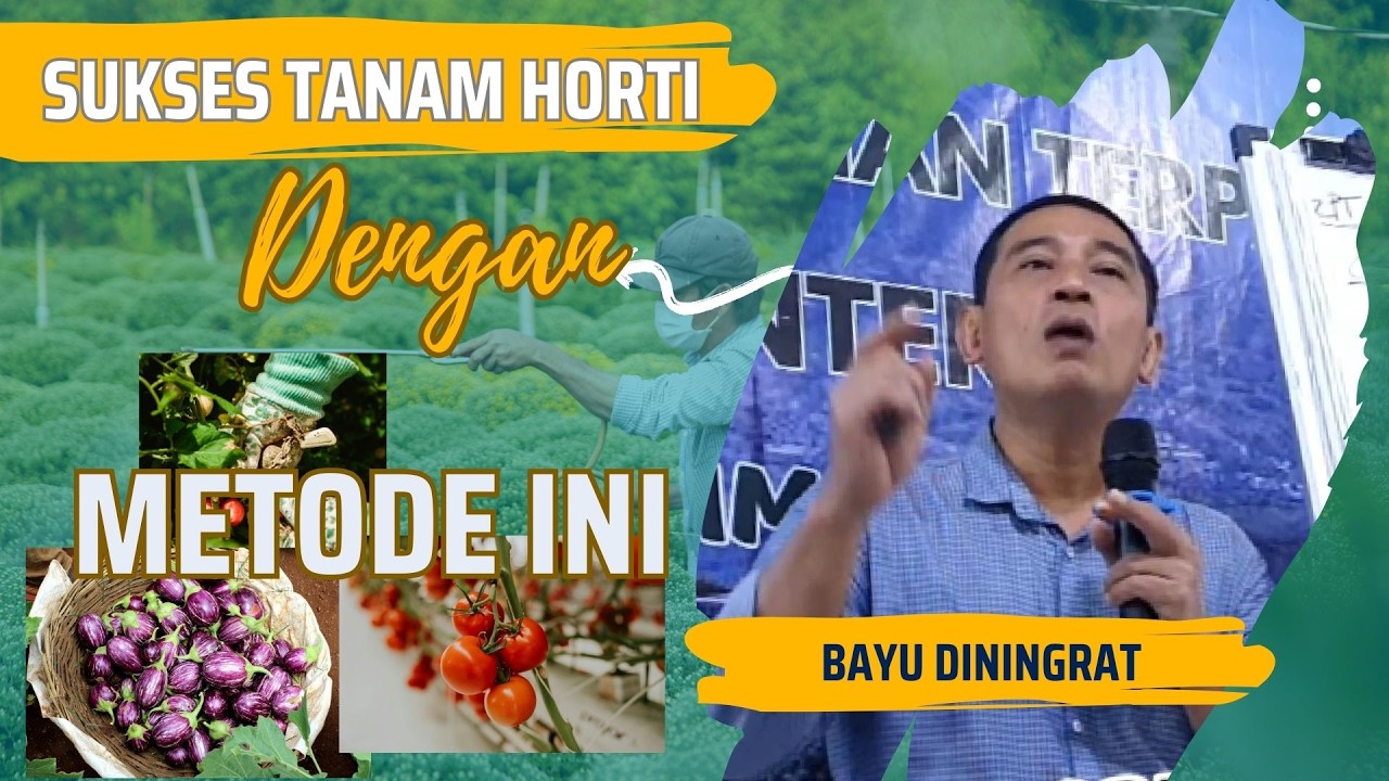 CARA TANAM YANG BENAR  CABE,TERONG,TOMAT  AGAR PANEN MELIMPAH #p#bayusehatmandiri #bayudiningrat