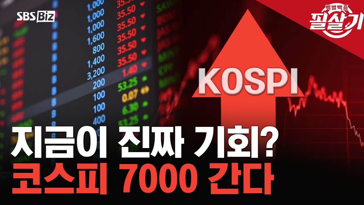 [필살기] 코스피 사상급 폭락…전문가들 