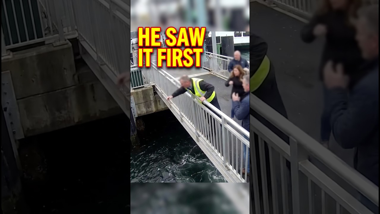 THEY TOLD Him to Stop Checking the Ferry Ramp&hellip; Then a Child Almost Fell In #shorts