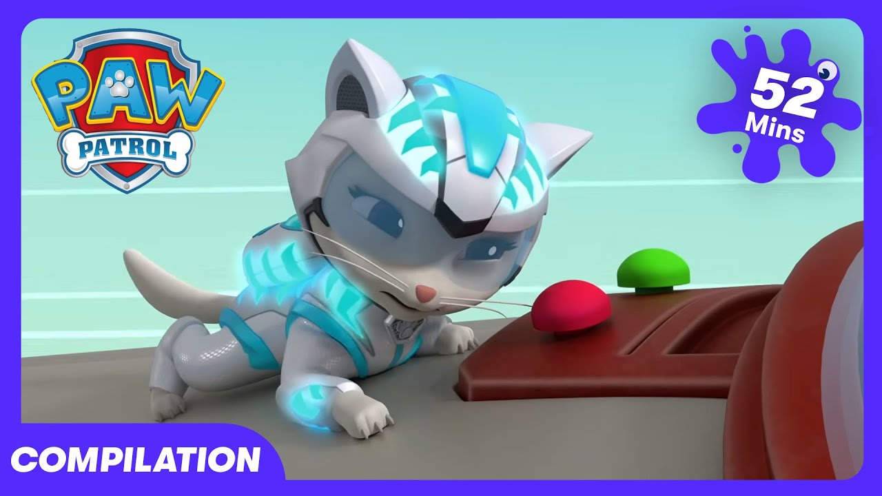 Paw Patrol - Daddy's DIY Disaster! | WildBrain Rescue Station