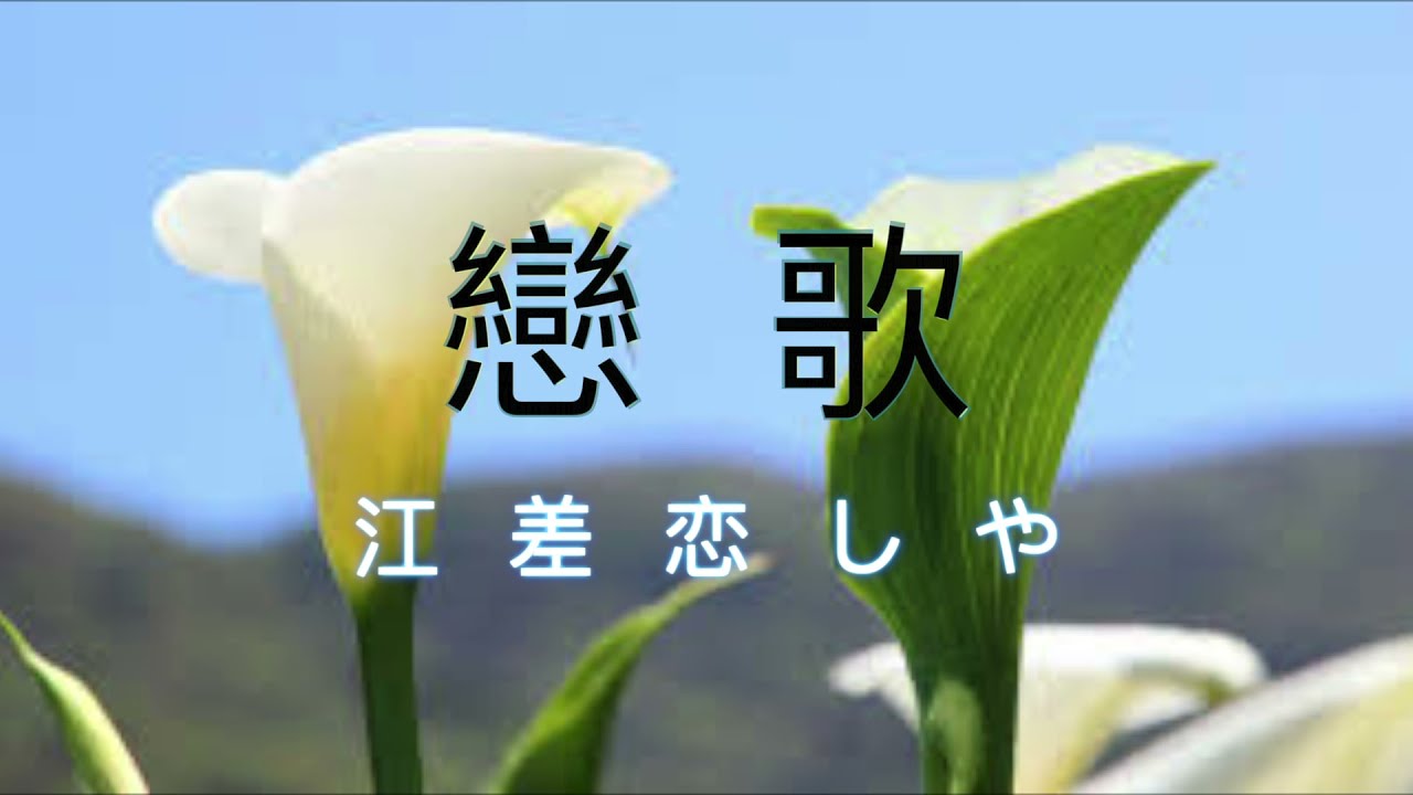 台語經典老歌「戀歌」抒情浪漫的旋律，從文夏到眾多歌手都翻唱過，是道地的台語名歌。二胡演奏 陳亮君老師