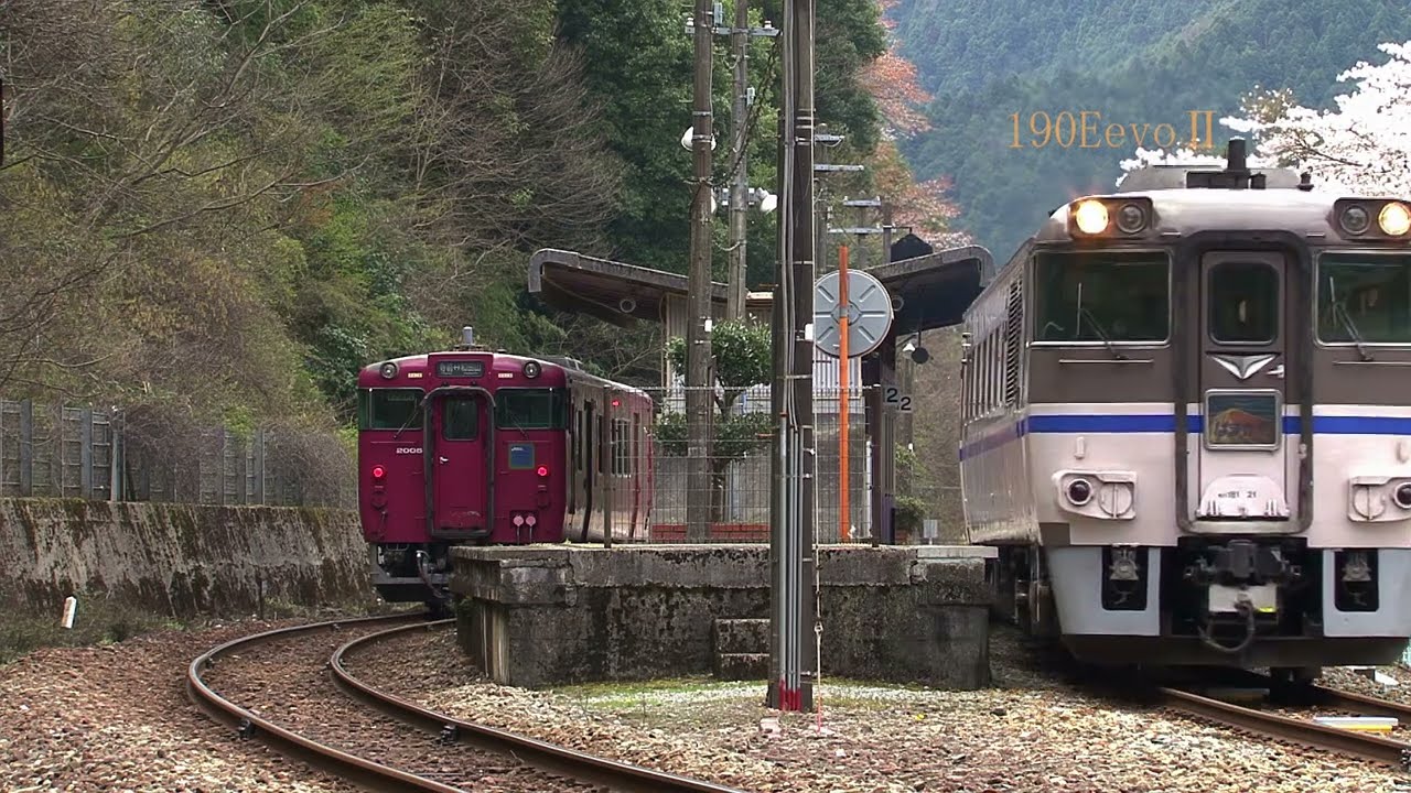 在りし日の播但線  長谷駅桜