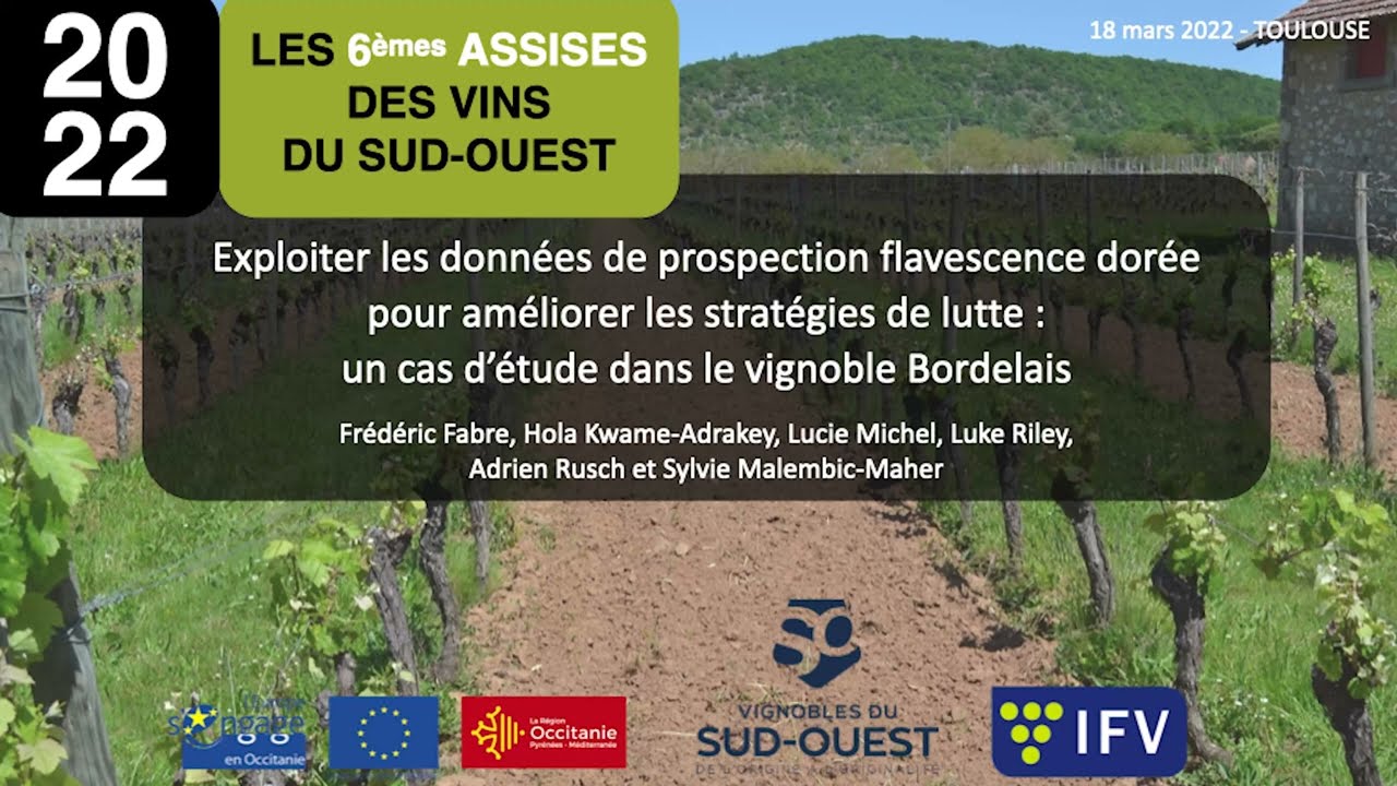 Exploiter les données de prospection flavescence dorée pour améliorer les stratégies de lutte
