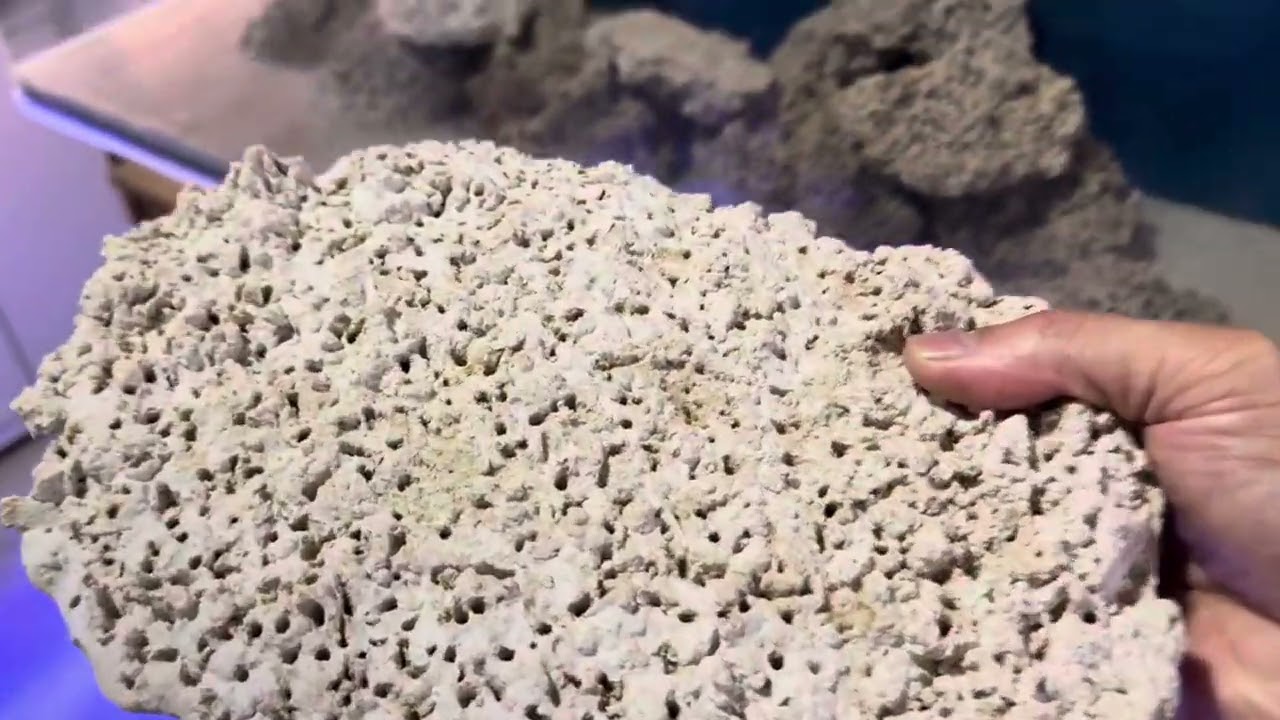 ARMANDO UN NUEVO MARINO DE 200 litros que voy a usar?