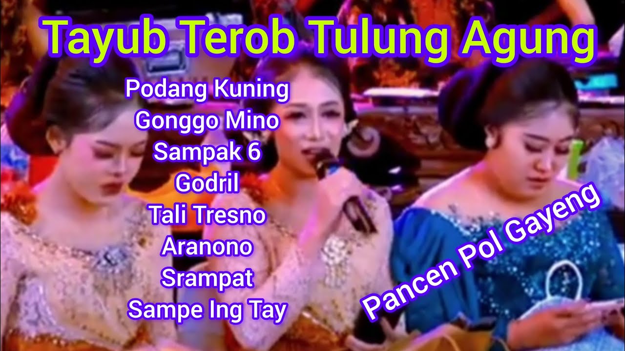 Tayub Terob Tulung Agung Viral, Podang Kuning, Grimis Grimis