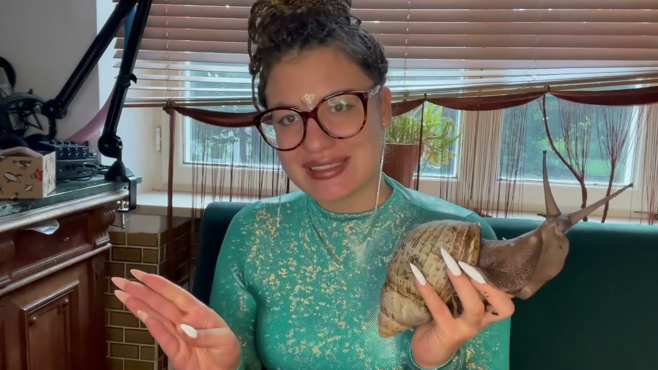 Schnecken/Wirbellose/Tiere verschicken 💌🐌 welcher Versand ist der beste?!