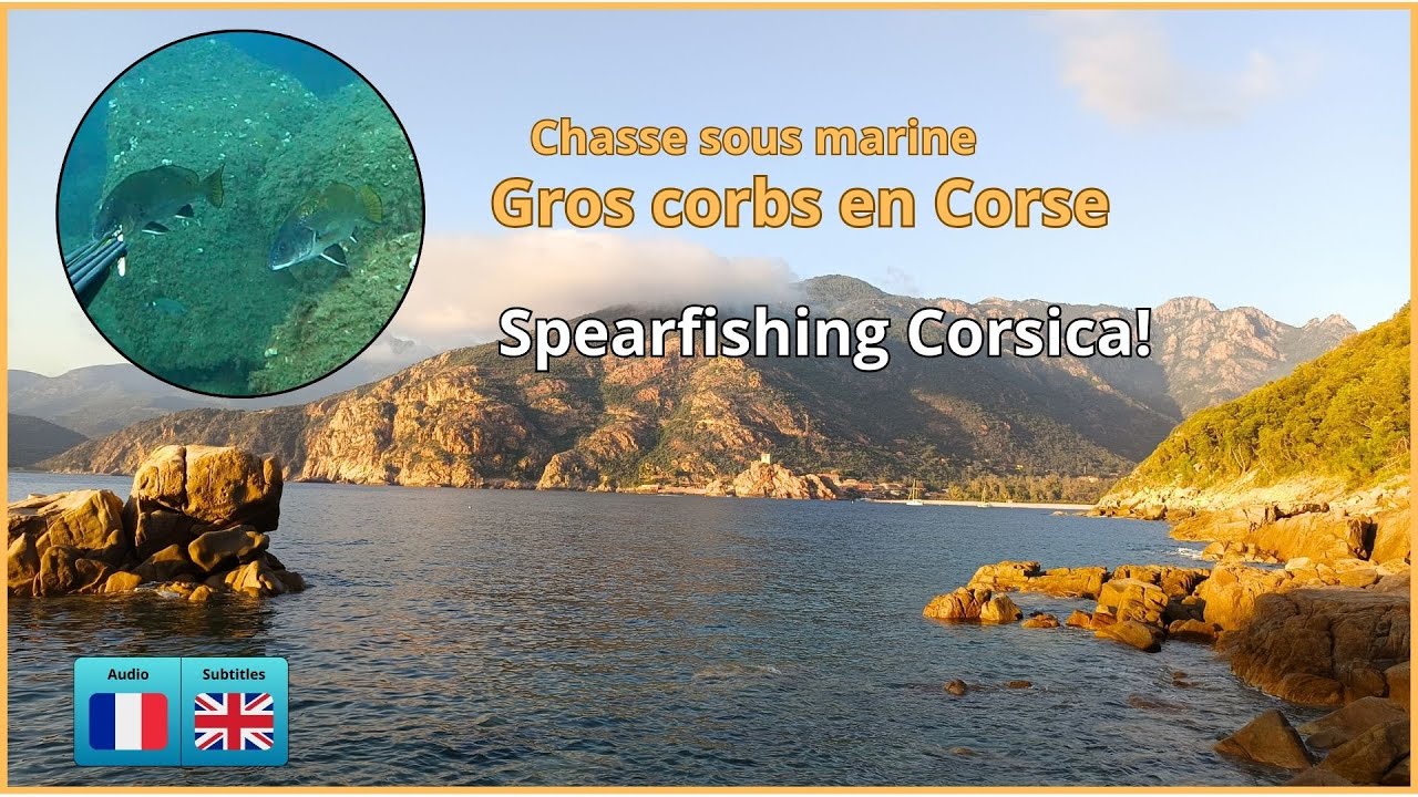Chasse sous marine en Corse, Partie 2
