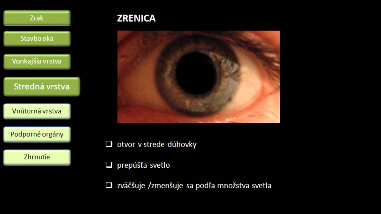 Biológia - Zrak