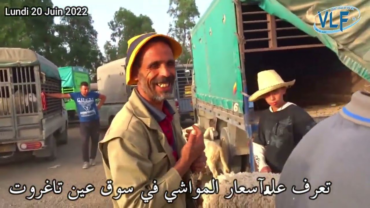تعرف علىآسعار المواشي في سوق عين تاغروت تحسبا للعيد الأضحى 2022