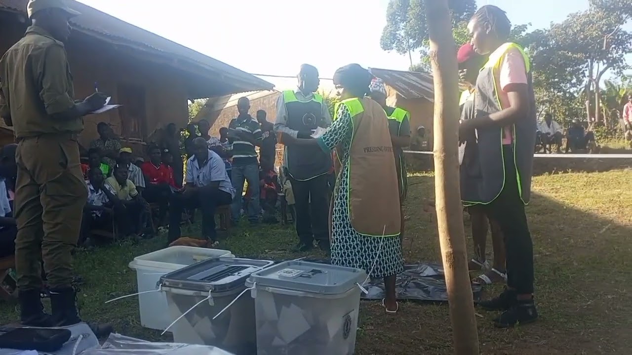 During election 