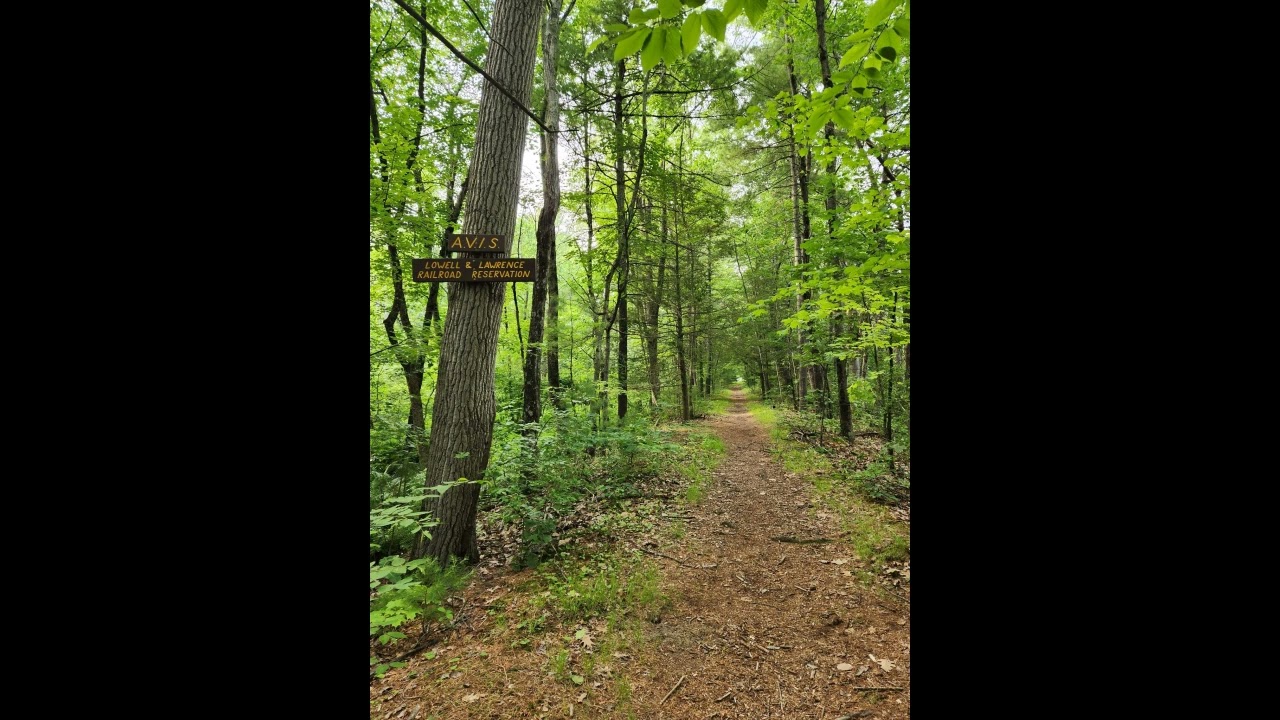 Sunset - Electronic Composition