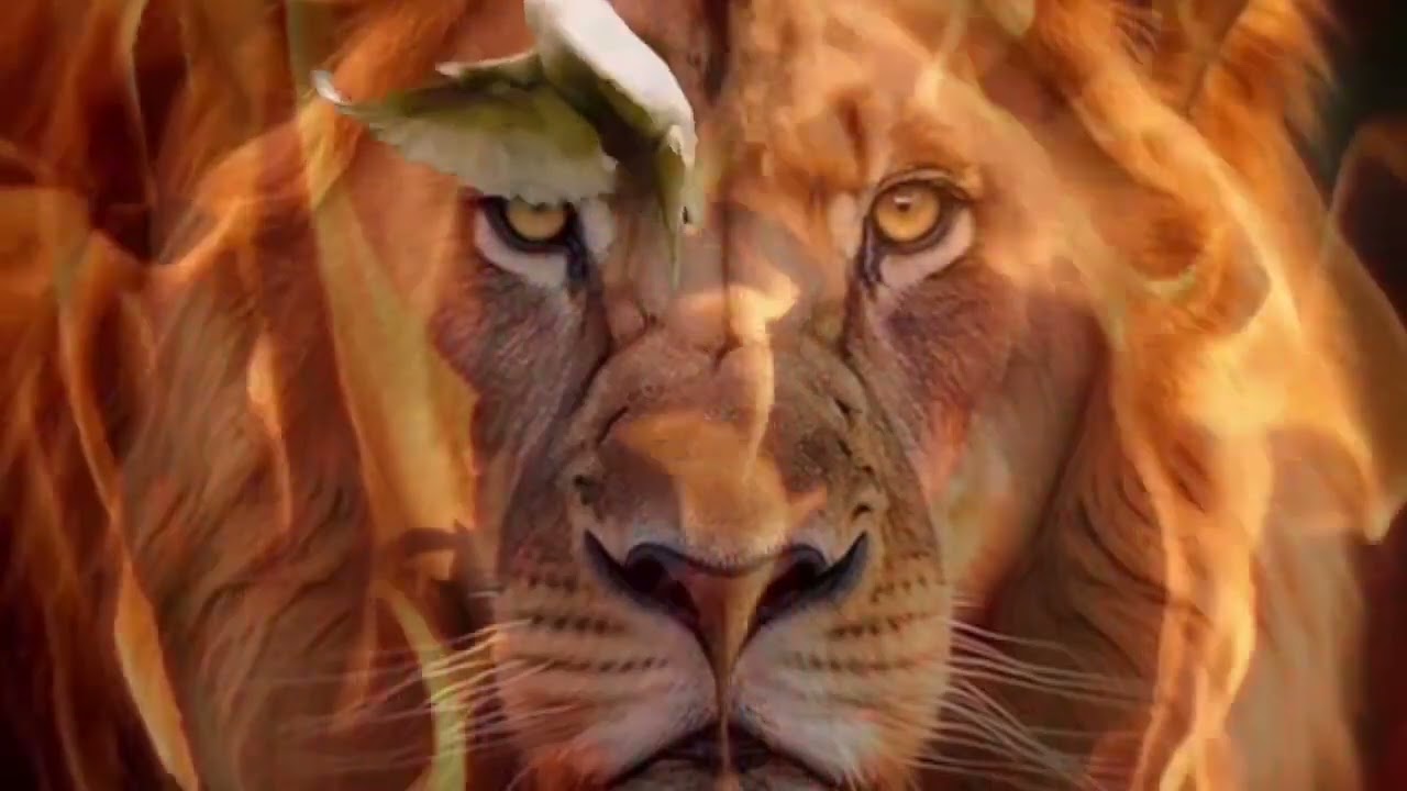 YESHUA | JESUS IMAGE | PRAYER CHANT | MYRA #jesusimage #prayer