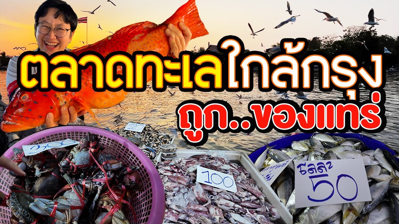 ตลาดอาหารทะเลใหญ่ใกล้กรุงเทพ ไม่มีรถก็มาได้ 