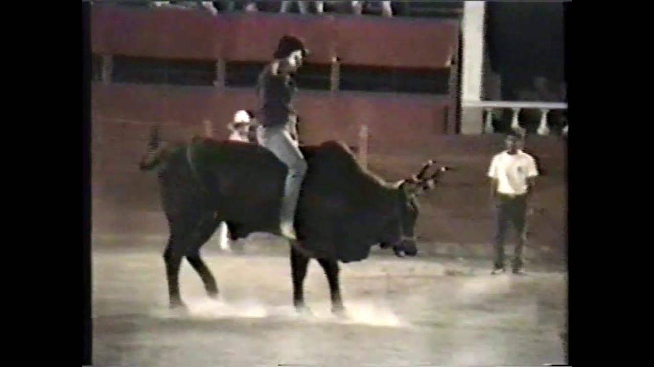 Recuerdos del Jaripeo. Recopilación de toros, jinetes, plazas y ganaderías de los 90's.