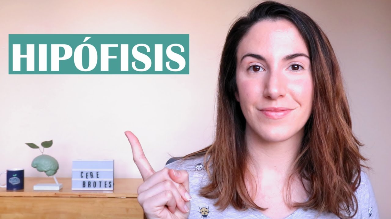 Hip&oacute;fisis o gl&aacute;ndula pituitaria: qu&eacute; funci&oacute;n tiene y qu&eacute; hormonas produce