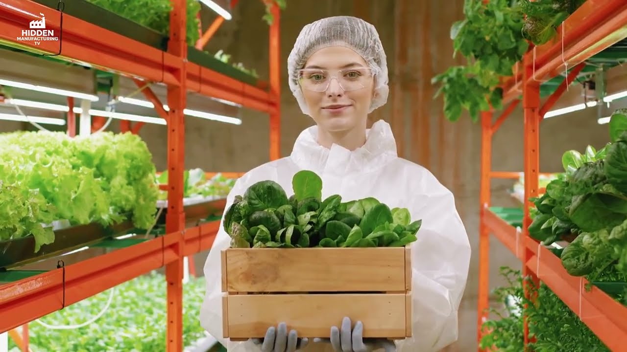 Farm Failing Fast Without These 7 Crucial Fixes