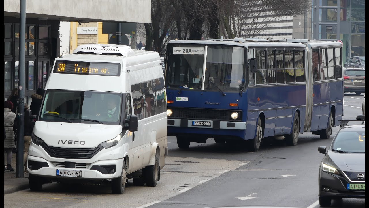 Vegyes, színes buszok a Centrumnál (Kocsonya 2026)