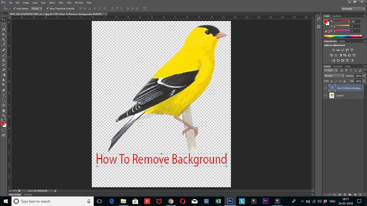 How To Make Transparent Background Or Remove White Backround | Without Background Image