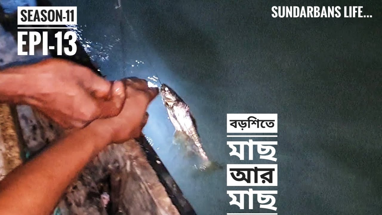 দাওন বড়শিতে মাছ আর মাছ | পর্ব ১৩ | সিজন ১১ | লবণ জলে জীবন জ্বলে | Mohsin ul Hakim