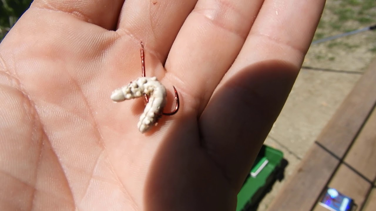 Pstrągi na spławik. Berkley Power Bait Bio Naturköder 