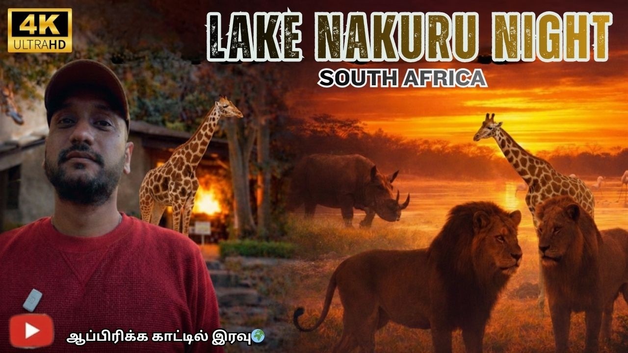ஆப்பிரிக்கா காட்டில் Night Stay 🌙 | Lake Nakuru Evening Game Drive @SimbaaVlogs